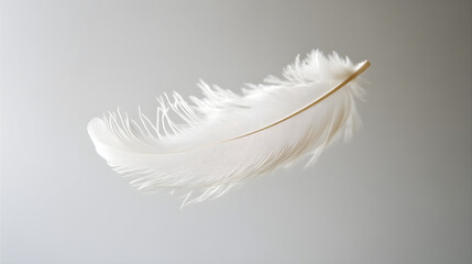 Obraz premium A pure white feather floating in mid-air