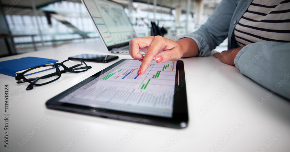 Poster gantt gantt software project