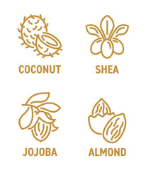 Essential oils set of icons in bold line - Coconut, Shea, Jojoba, Almond