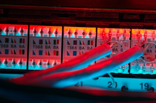 Network patch panel from the rear with two cables punched