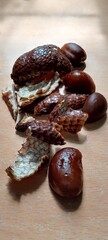 snake skin fruit and seeds on a wooden background