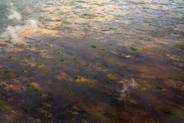 Aerial view of Everglades National Park, Florida, United States