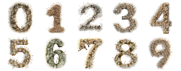 Pack 0 to 9 Numbers Dandelion Seeds Style set over Transparent Background for Modern Design Projects, Creative Branding, or Unique Typography Applications