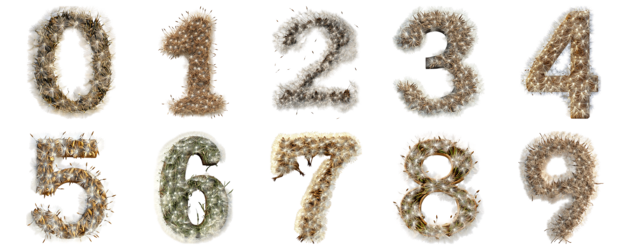 Pack 0 to 9 Numbers Dandelion Seeds Style set over Transparent Background for Modern Design Projects, Creative Branding, or Unique Typography Applications