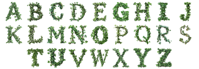 Pack A to Z alphabets Leafy Vines Style set over Transparent Background for Modern Design Projects, Creative Branding, or Unique Typography Applications