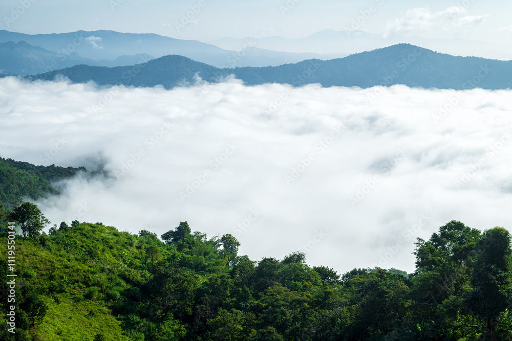 Wall mural misty landscape with forest. foggy clouds above tree. panoramic mountain in deep countryside at thai