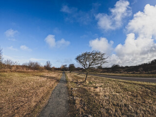 Coastal dunes, rich in birds, with marked hiking and cycling trails, plus a nature center in Netherlands. Typical Dutch landscape near the sea with beautiful paths for walking