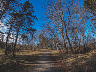 Naklejka premium Coastal dunes, rich in birds, with marked hiking and cycling trails, plus a nature center in Netherlands. Typical Dutch landscape near the sea with beautiful paths for walking