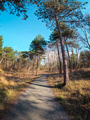 Coastal dunes, rich in birds, with marked hiking and cycling trails, plus a nature center in Netherlands. Typical Dutch landscape near the sea with beautiful paths for walking