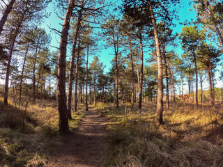 Coastal dunes, rich in birds, with marked hiking and cycling trails, plus a nature center in Netherlands. Typical Dutch landscape near the sea with beautiful paths for walking