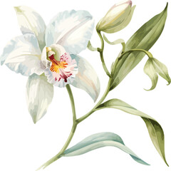 Fototapeta premium bouquet of flowers