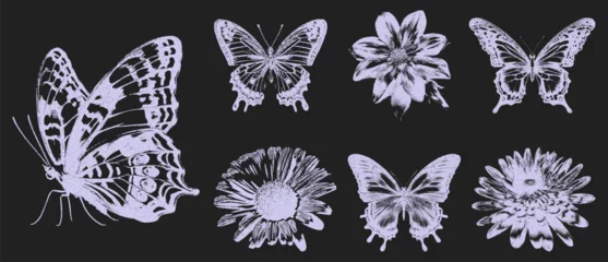 Butterfly, daisy design in retro style photocopy. The effect of grain and dotted lines. Vector template for mixed design techniques