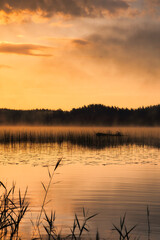 Obraz premium Sunrise with fog forming over a lake in Sweden, at dawn. Romantic silence