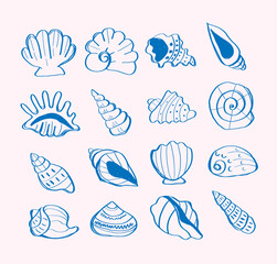 Seashells blue hand drawn set. Doodle outline scallop shell. Hand-drawn design elements