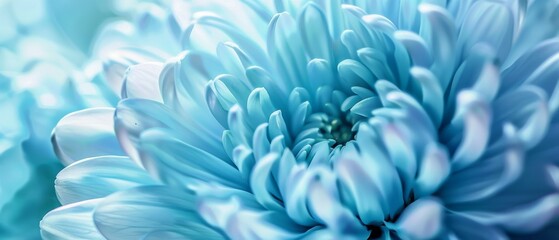 Obraz premium Close-up of a vibrant blue flower in full bloom, with delicate petals unfurling to reveal intricate details and soft hues.