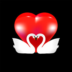 Swans on the background of a heart