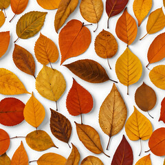 Fototapeta premium background