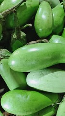 Fresh Green Eggplants on Display