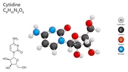 Molecule: Cytidine. Nucleoside. Molecular structure. Formula: C9H13N3O5. Chemical model: Ball and stick. White background. 3D illustration.