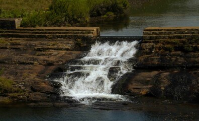Horton Plains, Sri Lanka, Nature 