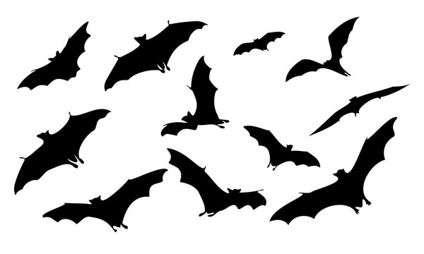 Collection of halloween bats silhouettes