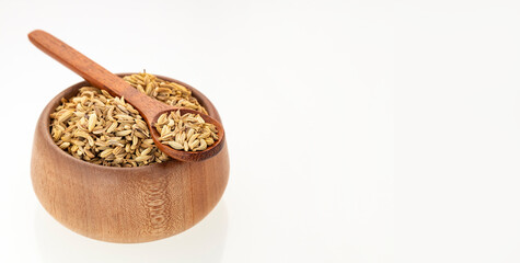 Foeniculum vulgare - Dried organic fennel seeds.