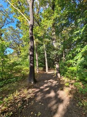 Spaziergang durch den Plänterwald in Berlin Treptow