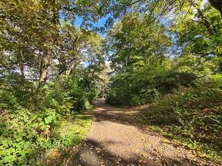 ein park an einem schönen, sonnigen Tag, in Berlin Treptow/Köpenick