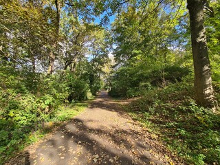 ein park an einem schönen, sonnigen Tag, in Berlin Treptow/Köpenick
