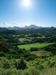 Obraz premium Sunny day view of lush green valley and mountains.