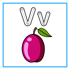 tracing alfabet victoria plum illustration © Rahmatullah