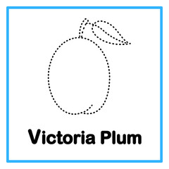 tracing victoria plum alfabet illustration © Rahmatullah