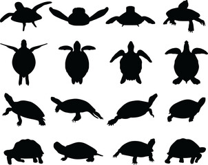 Black silhouettes of turtles