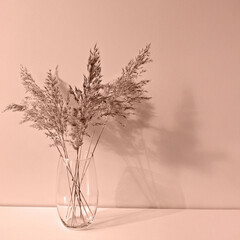 Dried pampas grass in glass vase against light background toned in color of year 2025