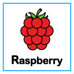 flat raspberry alfabet illustration © Rahmatullah