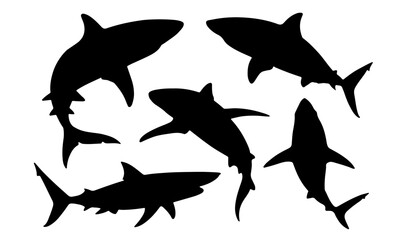 Black shark silhouette collection. Set of different shark silhouette on a white background