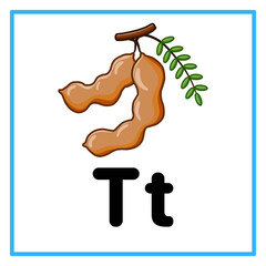 fresh tamarind alfabet t illustration © Rahmatullah