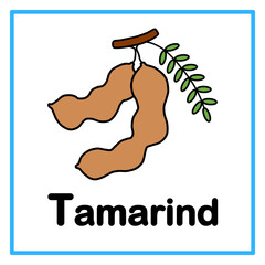 flat tamarind alfabet illustration © Rahmatullah
