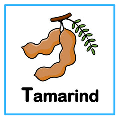 tamarind fruit alfabet illustration © Rahmatullah