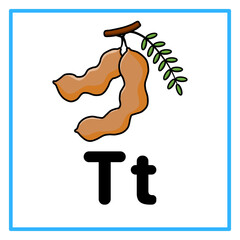 tamarind fruit alfabet t illustration © Rahmatullah