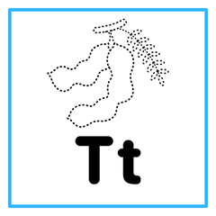 tracing tamarind alfabet t illustration © Rahmatullah