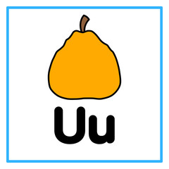 flat ugli fruit alfabet u illustration © Rahmatullah