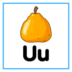 fresh ugli fruit alfabet illustration © Rahmatullah