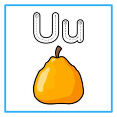tracing alfabet ugli fruit illustration © Rahmatullah