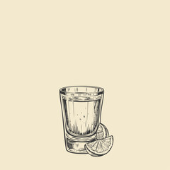 Tequila Shot Hand Drawn. Summer Drink Vector Illustration.