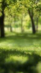 Obraz premium Sunlight filters through lush green trees in a serene park setting during midday