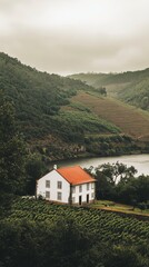 Fototapeta premium Scenic view of a vineyard house by a tranquil river in a lush valley during overcast weather