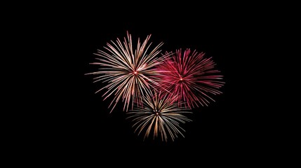 Three fireworks bursts against a black night sky.