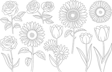 Black and white flowers set