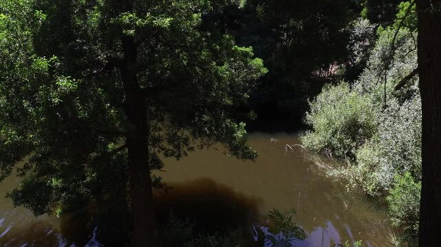 Scenic sunny view of Rio da Mula Dam in Serra de Sintra in Portugal